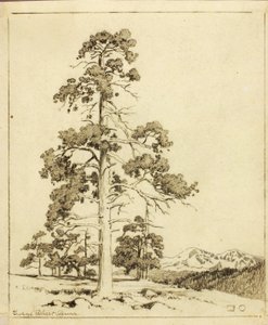 Zonder titel (overdrachtstekening voor druk) door George Elbert Burr
