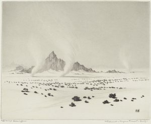 Wervelwinden, Mojavewoestijn, Californië (nr.3)