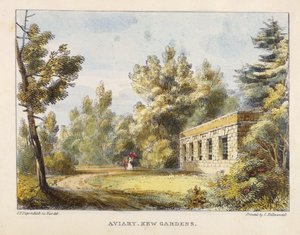Volière, Kew Gardens, plaat 10 uit Kew Gardens: Een Serie van Vierentwintig Tekeningen op Steen, gegraveerd door Charles Hullmandel (1789-1850) gepubliceerd 1820