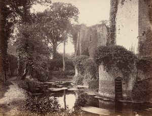 Kasteel van Raglan,1860 (foto) door George Esq. Shadbolt