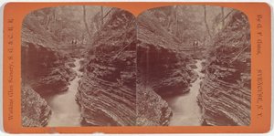 Watkins Glen Landschap, Schaduwkloof