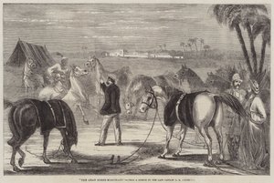 De Arabische Paardenhandelaar