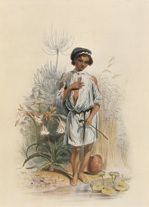 Charley, een halfbloed jongen in Natal door George French Angas