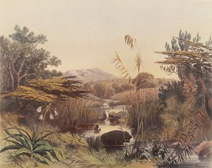 De Umnonoti-rivier bij schemering door George French Angas