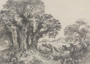 Landschap met ezels
