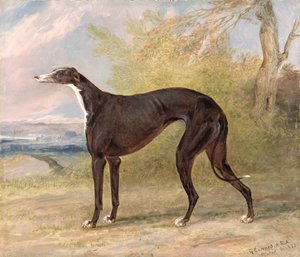 Een van George Lane Fox