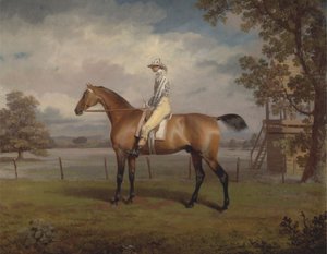 Portret van een Renpaard, Mogelijk Disguise, Eigendom van de Hertog van Hamilton, met Jockey door George Garrard