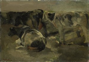 Vier Koeien