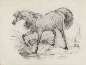 Staand paard, naar links door George Hendrik Breitner