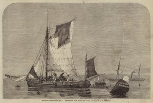 Britse visserijen, nr. 7, wulken vangen door George Henry Andrews