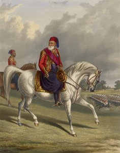 Ibrahim Pasha van Egypte 1789-1848, 1846