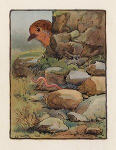 De Worm door George Henry Thompson