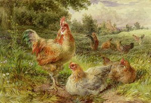 Cochin China Hoenders door George Hickin