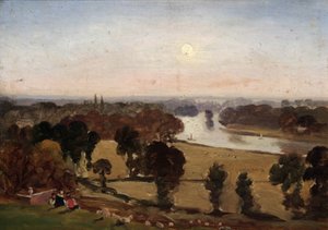 Uitzicht vanaf Richmond Hill door George Hilditch