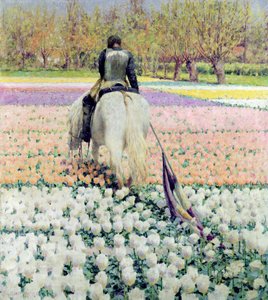 Verslagen, 1895
