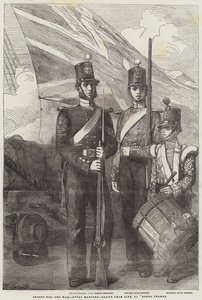 Troepen voor de oorlog, Royal Marines