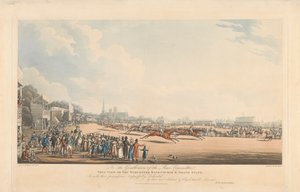 Uitzicht op de Worcester-renbaan en de hoofdtribune