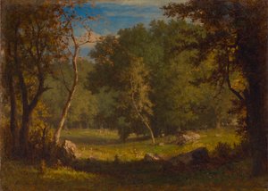 Elf Ground door George Inness