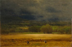 Het korenveld