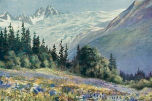 Campanula en Andere Juli Bloemen op de Col Des Montets door George Jackson Flemwell