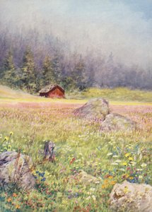In de velden van begin juli in Champex door George Jackson Flemwell