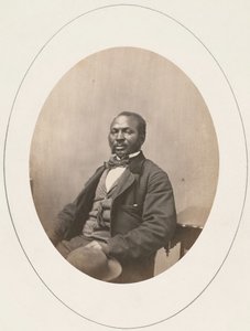 Portret van Man, Harvard University