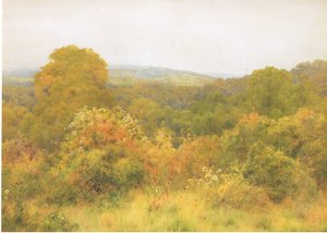 Natuurtuin