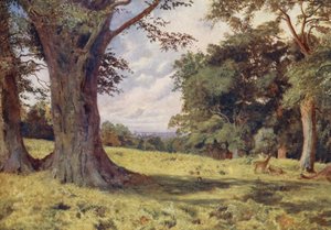 Een open plek in Windsor Great Park door George Moore Henton