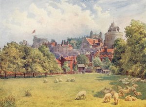 Het Kasteel vanaf de Velden