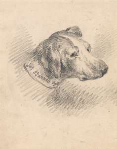 Hoofd van een hond door George Morland