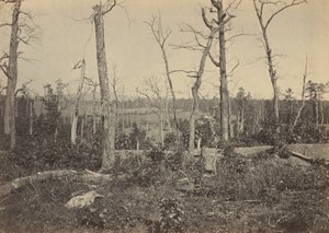 Slagveld van Resaca, Georgia, nr. 3,1864 (foto) door George N. Barnard