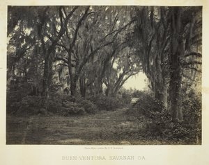 Buen-Ventura Savannah, Ga. door George N. Barnard