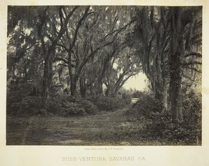 Buen-Ventura Savannah, Ga., 1866 door George N. Barnard