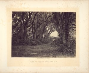 Buen-Ventura, Savannah, Georgia door George N. Barnard