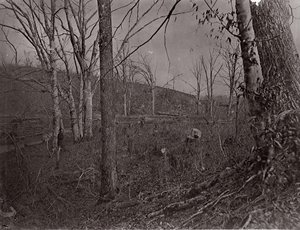 Bull Run, Virginia, 1861-62 door George N. Barnard