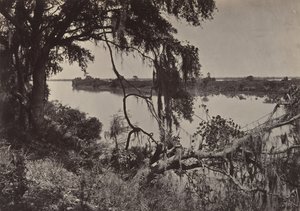 Savannah River, nabij Savannah, Georgia door George N. Barnard
