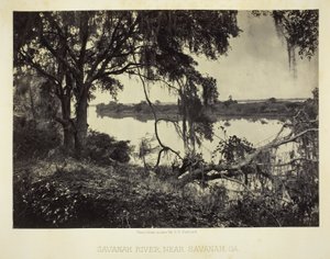 Savannah River, bij Savannah, GA