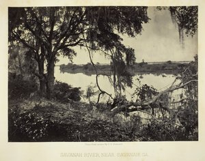Savannah River, nabij Savannah, GA