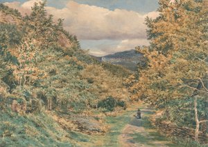 Een weg bij Bettws-y-Coed