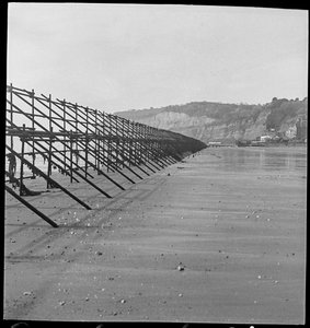 Het strand van Shanklin langs een lange lijn van Admiraliteitssteigers door George R. Long