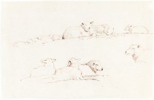 Studies van Schapen in de Weide door George Richmond