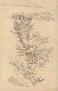 Studie van bomen, enz., in een weide door George Richmond