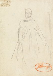 Vrouwelijke figuur