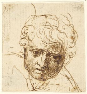 Hoofd van een jongen door George Romney