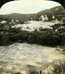 De papkom, Whaka, Rotorua, Nieuw-Zeeland, ca. 1909 door George Rose