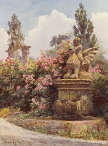 Italiaanse tuinen: Chinese rozen, Villa Imperiali door George Samuel Elgood