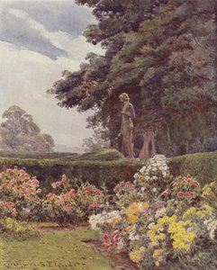 De Apollo, Balcaskie