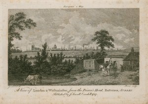 Uitzicht op Londen en Westminster, vanaf de Princes Head, Battersea, Surrey