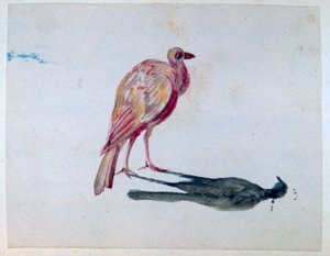 Vogel door George Sand