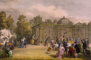 Het Apenhuis in de Dierentuin, Regent